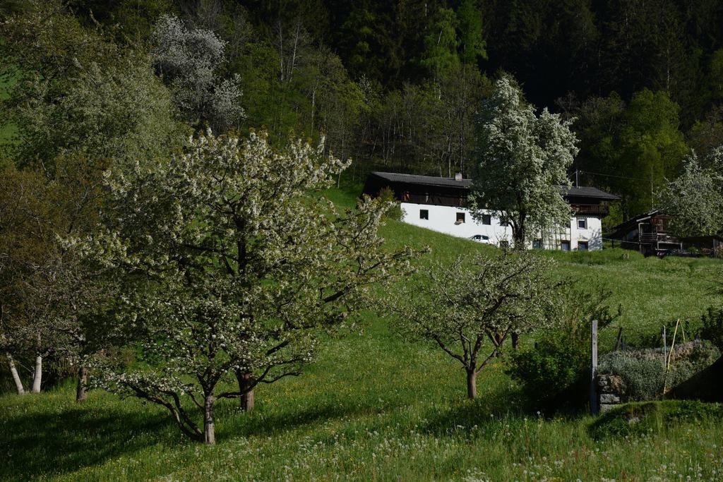 Haus Elisabeth Bed & Breakfast Neustift im Stubaital Exterior foto