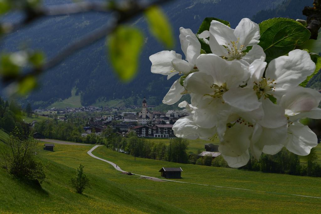 Haus Elisabeth Bed & Breakfast Neustift im Stubaital Exterior foto