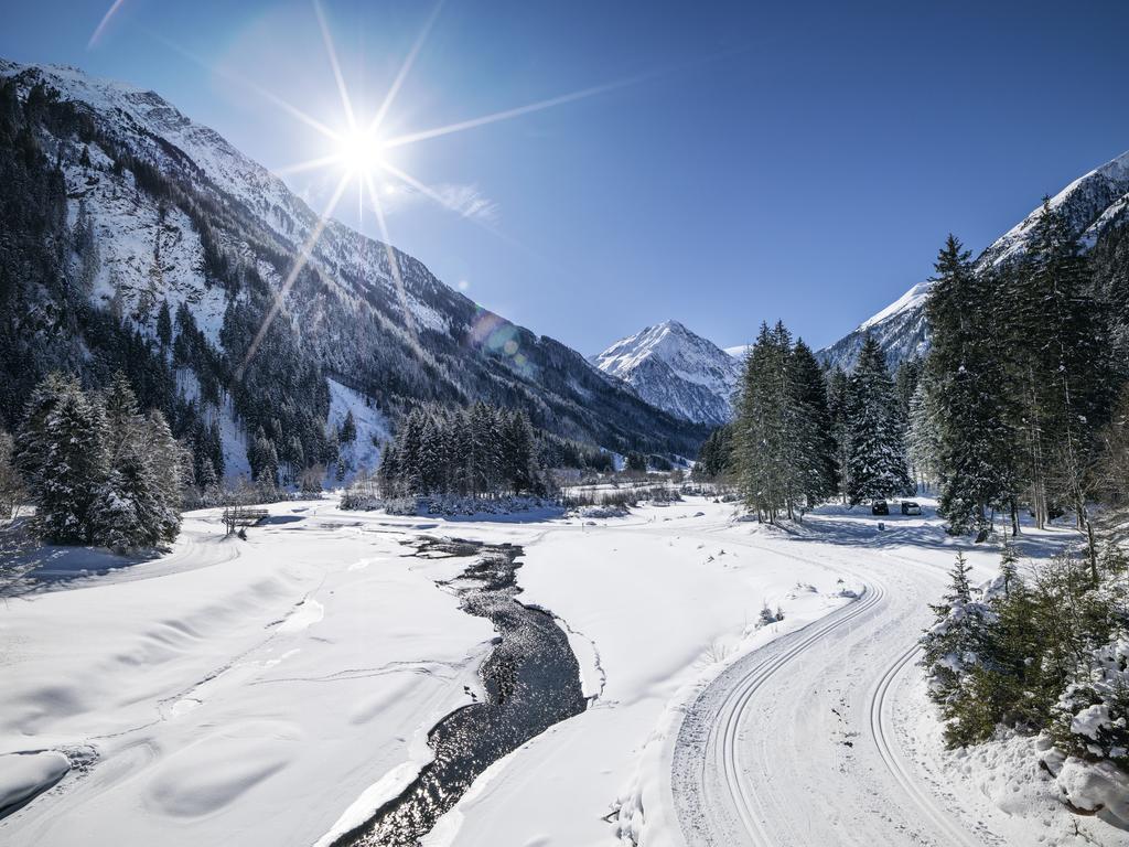 Haus Elisabeth Bed & Breakfast Neustift im Stubaital Exterior foto